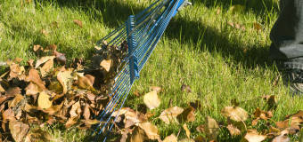 Sprzątanie terenów zewnętrznych – na czym polega?