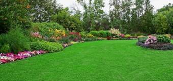 Aeracja trawnika - klucz do zdrowego ogrodu