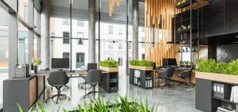 Ergonomiczne fotele biurowe – komfort i zdrowie w pracy