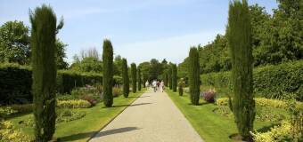 Usługi ogrodnicze Greentec-Studio Wojciech Bobek w Wieliczce