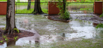 Profesjonalne osuszanie terenu - na czym to polega?