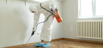 Kiedy usługi porządkowe będą dla nas przydatne?