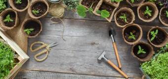 Ekologiczne ogrodnictwo - Sklep Internetowy dlaroslin.pl w Sieradzu